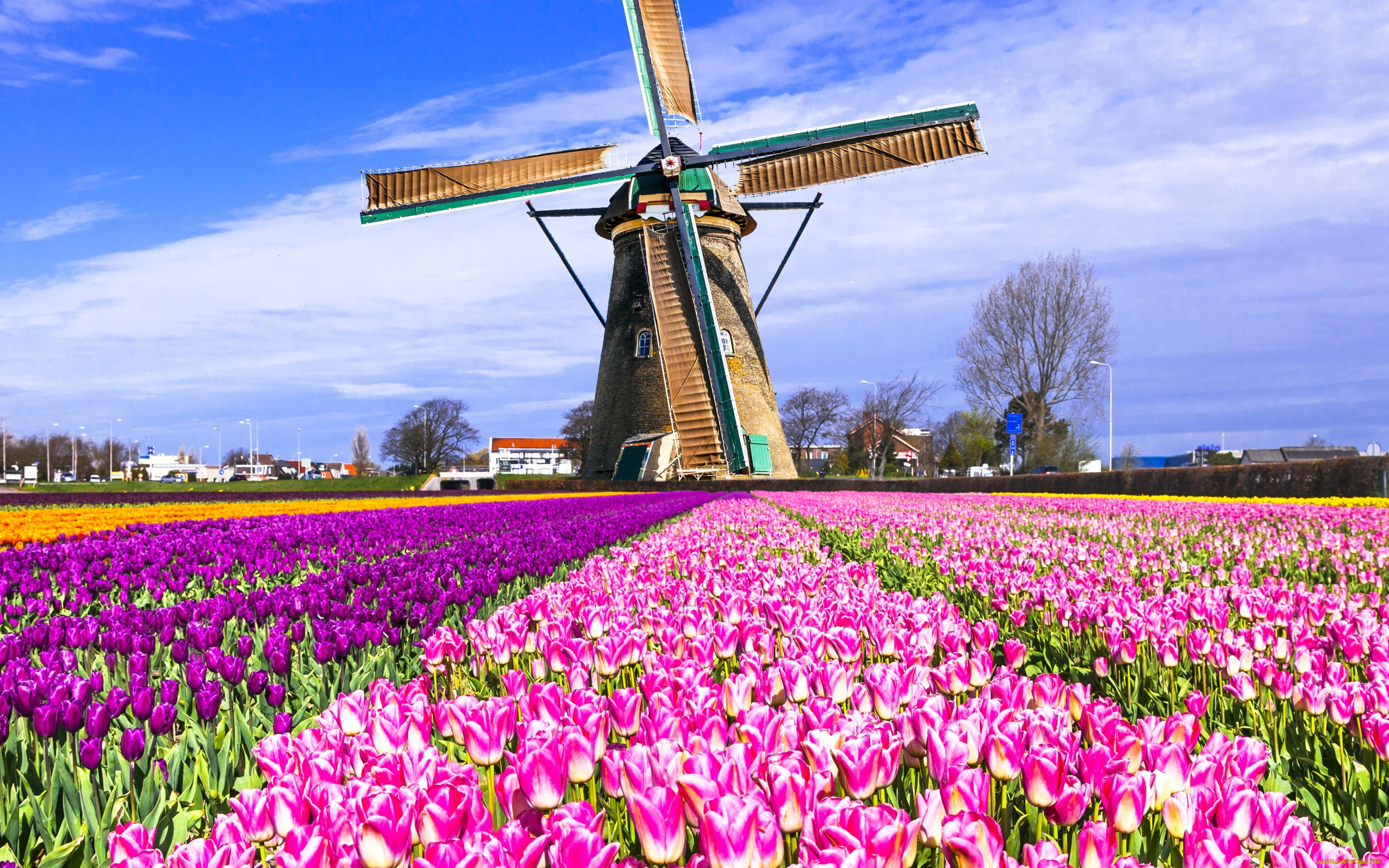 , , , , , , keukenhof, lisse, 